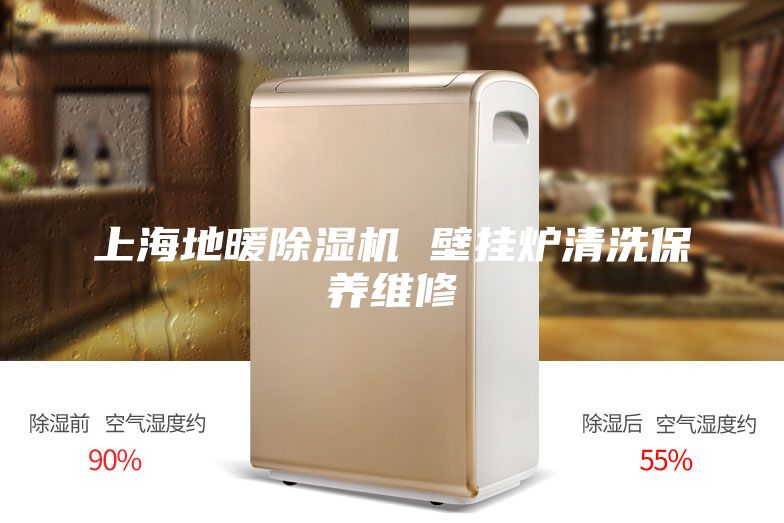上海地暖除濕機 壁掛爐清洗保養(yǎng)維修