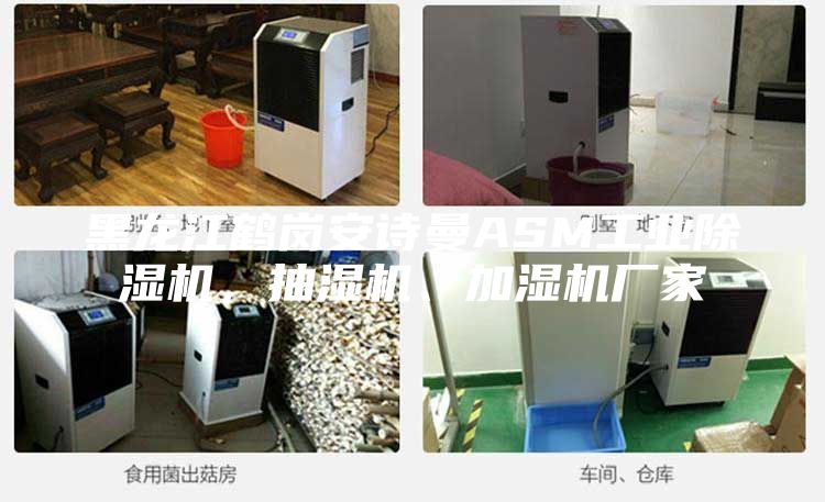 黑龍江鶴崗安詩(shī)曼ASM工業(yè)除濕機(jī),抽濕機(jī)、加濕機(jī)廠家