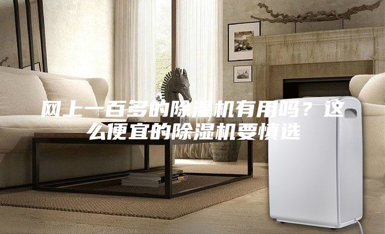 網上一百多的除濕機有用嗎？這么便宜的除濕機要慎選