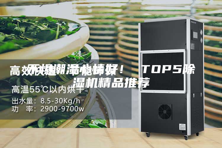 不懼潮濕心情好! TOP5除濕機精品推薦
