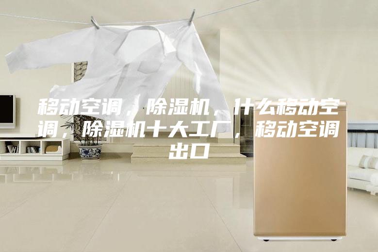 移動空調,除濕機,什么移動空調,除濕機十大工廠,移動空調出口