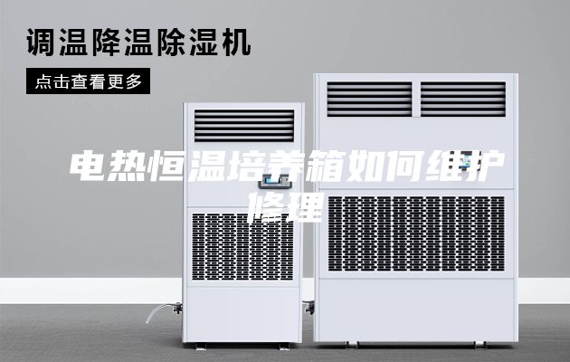 電熱恒溫培養(yǎng)箱如何維護(hù)修理