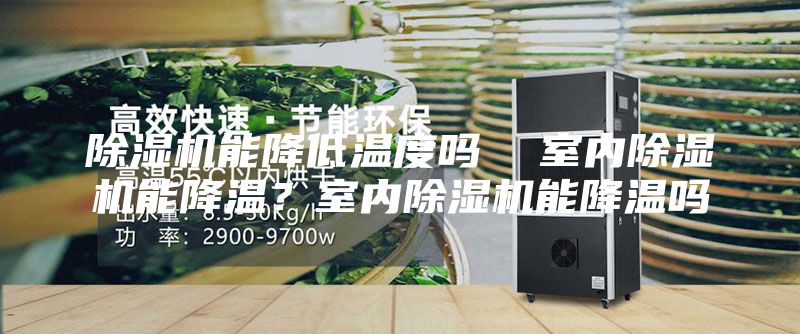 除濕機能降低溫度嗎 室內除濕機能降溫?室內除濕機能降溫嗎