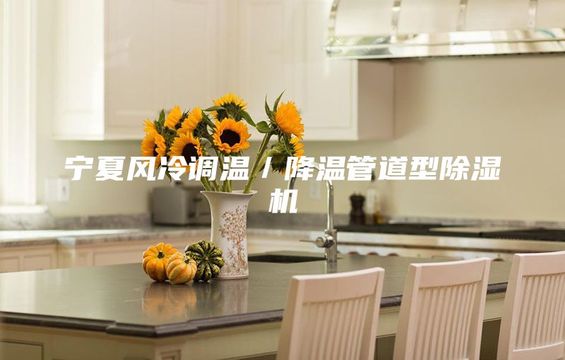 寧夏風(fēng)冷調(diào)溫/降溫管道型除濕機(jī)