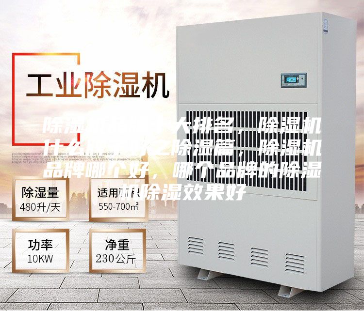 除濕機(jī)品牌十大排名,除濕機(jī)什么牌子好之除濕篇,除濕機(jī)品牌哪個(gè)好,哪個(gè)品牌的除濕機(jī)除濕效果好