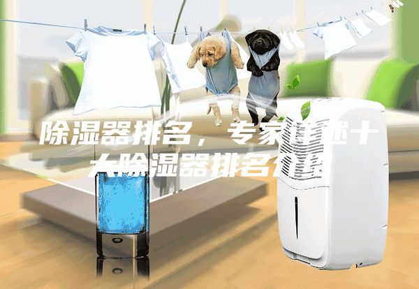 除濕器排名,專家詳述十大除濕器排名介紹