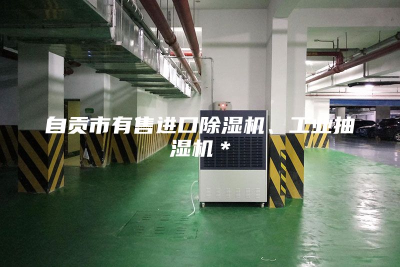 自貢市有售進口除濕機、工業抽濕機*