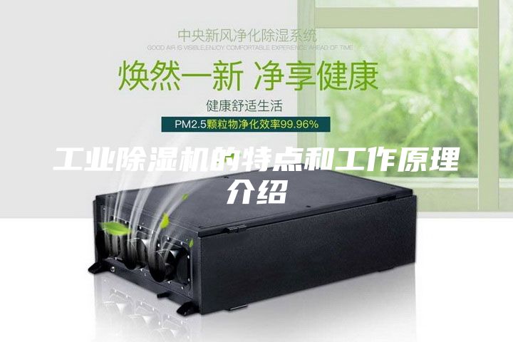 工業(yè)除濕機(jī)的特點(diǎn)和工作原理介紹