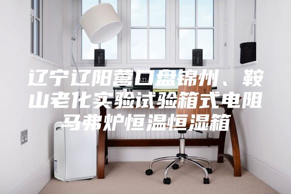 遼寧遼陽營口盤錦州、鞍山老化實(shí)驗(yàn)試驗(yàn)箱式電阻馬弗爐恒溫恒濕箱