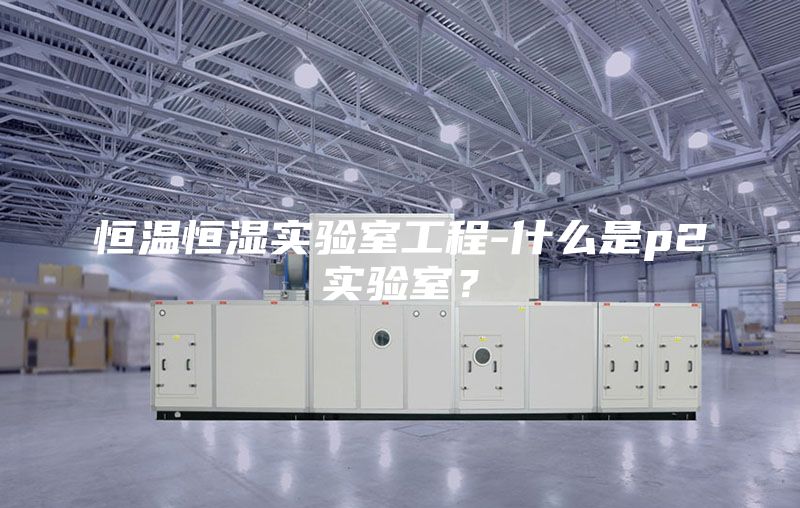 恒溫恒濕實(shí)驗(yàn)室工程-什么是p2實(shí)驗(yàn)室?