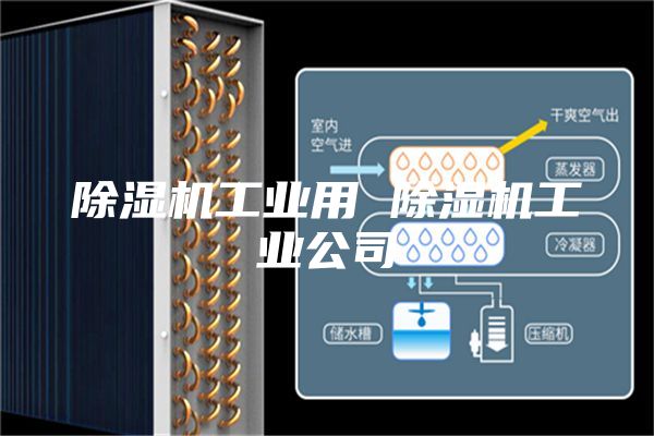 除濕機工業(yè)用 除濕機工業(yè)公司