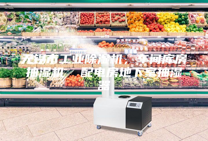 無錫市工業(yè)除濕機(jī),車間庫(kù)房抽濕機(jī) 配電房地下室抽濕器