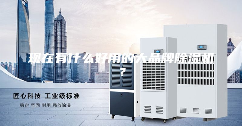 現在有什么好用的大品牌除濕機?