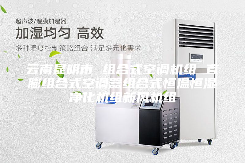 云南昆明市 組合式空調(diào)機(jī)組 直膨組合式空調(diào)器組合式恒溫恒濕凈化機(jī)組新風(fēng)機(jī)組