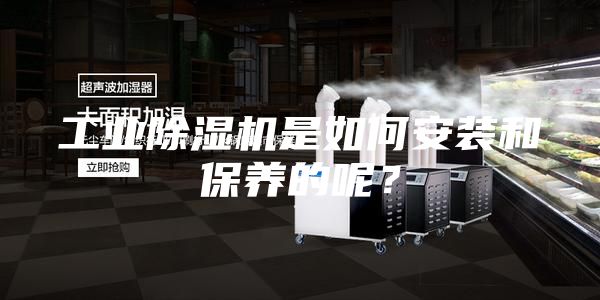 工業除濕機是如何安裝和保養的呢？