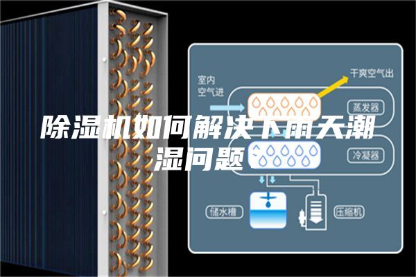 除濕機如何解決下雨天潮濕問題?