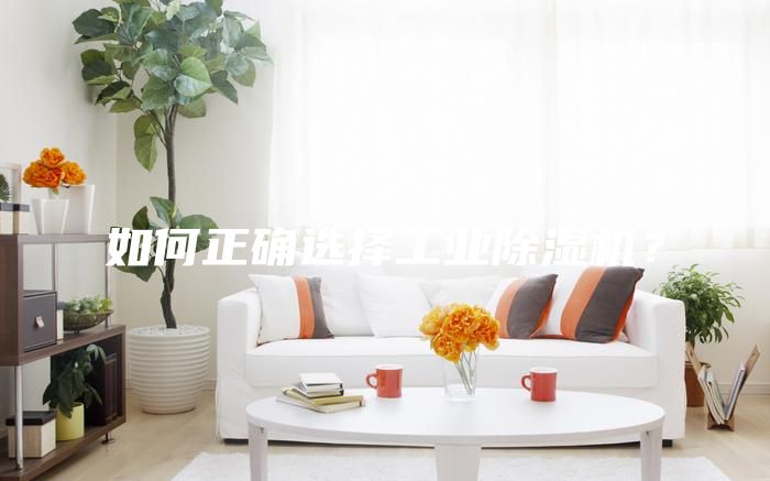如何正確選擇工業除濕機?