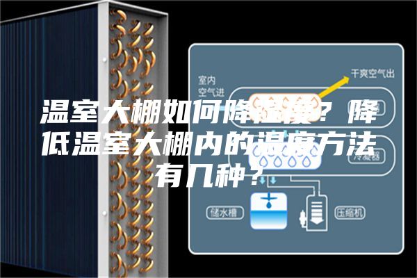 溫室大棚如何降濕度？降低溫室大棚內的濕度方法有幾種？