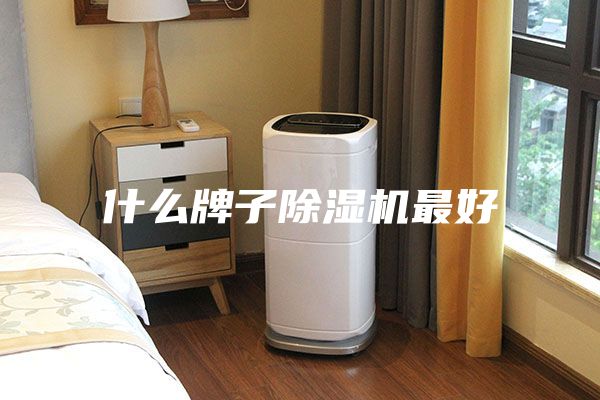 什么牌子除濕機(jī)最好