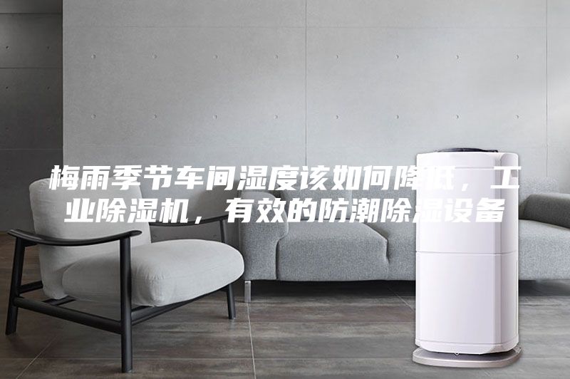 梅雨季節(jié)車間濕度該如何降低，工業(yè)除濕機，有效的防潮除濕設備