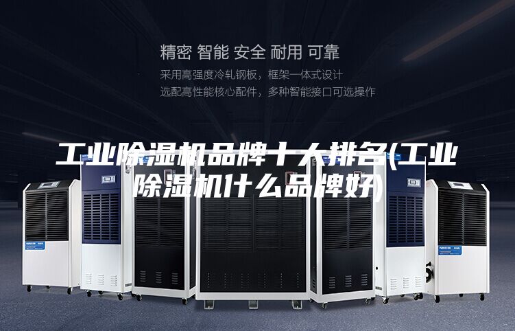 工業除濕機品牌十大排名(工業除濕機什么品牌好)