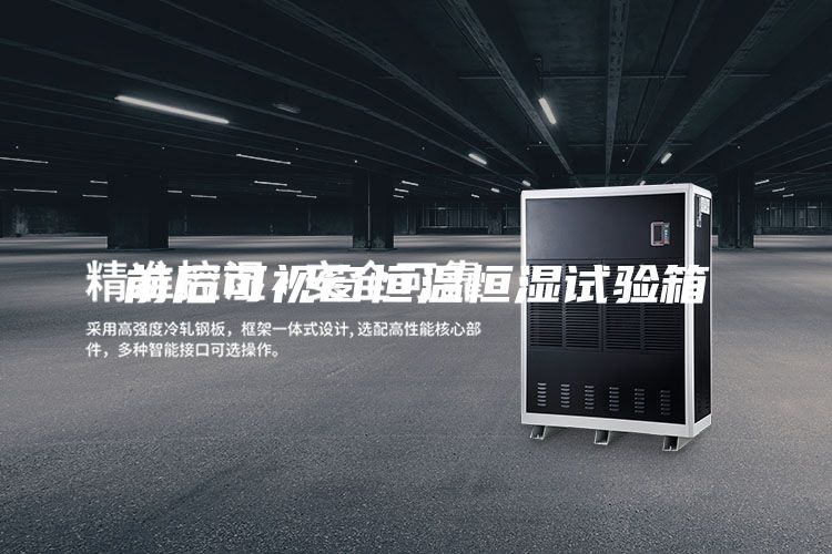 前后可視窗恒溫恒濕試驗(yàn)箱