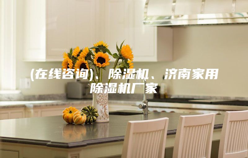 (在線咨詢)、除濕機、濟南家用除濕機廠家