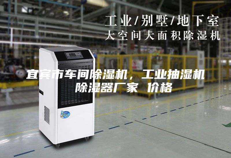 宜賓市車間除濕機，工業(yè)抽濕機  除濕器廠家 價格