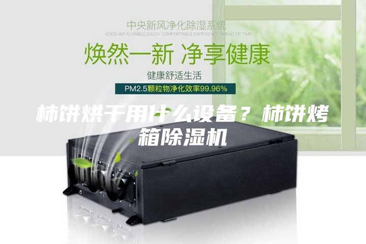 柿餅烘干用什么設(shè)備?柿餅烤箱除濕機
