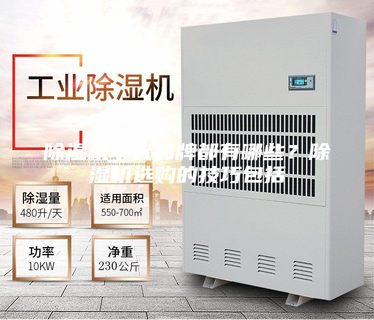 除濕機(jī)十大品牌都有哪些？除濕機(jī)選購(gòu)的技巧包括