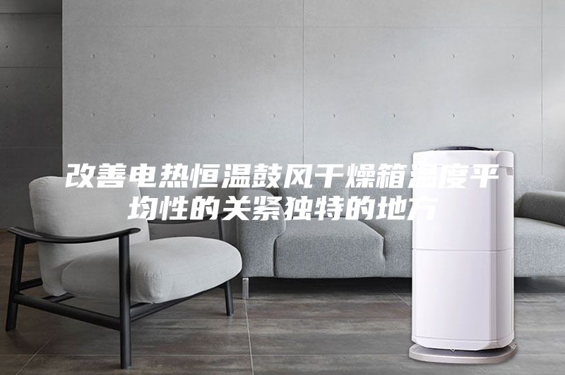 改善電熱恒溫鼓風干燥箱溫度平均性的關緊獨特的地方