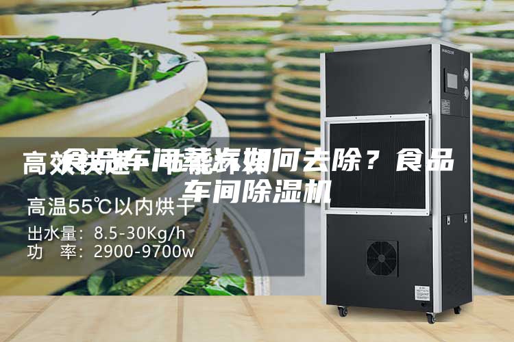 食品車間蒸汽如何去除？食品車間除濕機