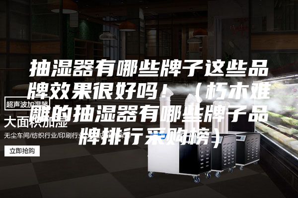 抽濕器有哪些牌子這些品牌效果很好嗎?。ㄐ嗄倦y雕的抽濕器有哪些牌子品牌排行采購(gòu)榜）