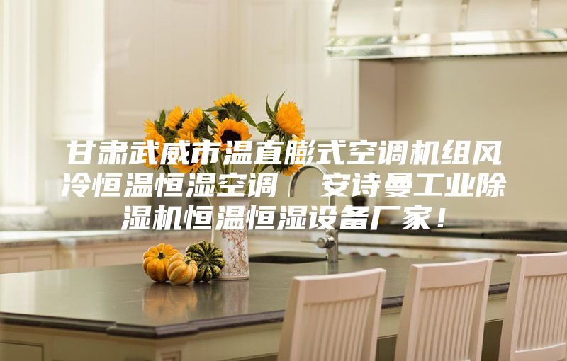 甘肅武威市溫直膨式空調(diào)機組風冷恒溫恒濕空調(diào)  安詩曼工業(yè)除濕機恒溫恒濕設備廠家！