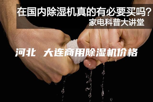 河北 大連商用除濕機(jī)價(jià)格