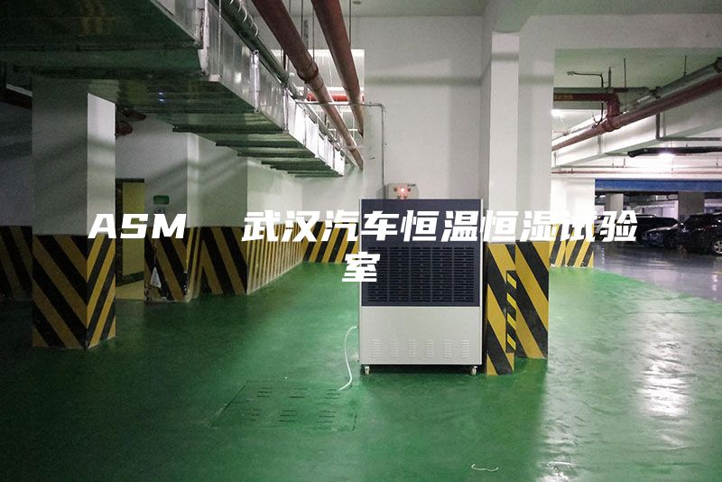 ASM  武漢汽車恒溫恒濕試驗室