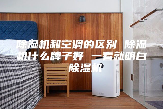 除濕機和空調的區(qū)別 除濕機什么牌子好 一看就明白 除濕機