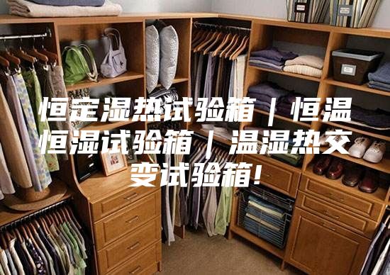 恒定濕熱試驗箱｜恒溫恒濕試驗箱｜溫濕熱交變試驗箱!