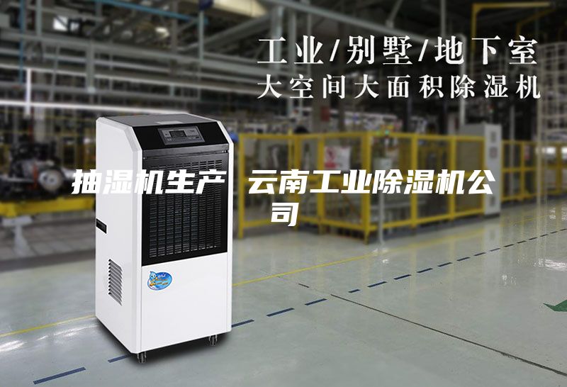 抽濕機(jī)生產(chǎn) 云南工業(yè)除濕機(jī)公司