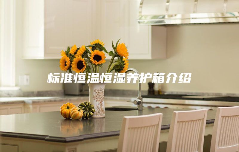 標(biāo)準(zhǔn)恒溫恒濕養(yǎng)護箱介紹