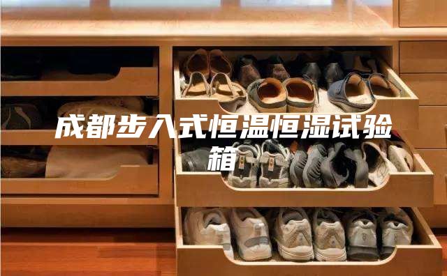 成都步入式恒溫恒濕試驗箱