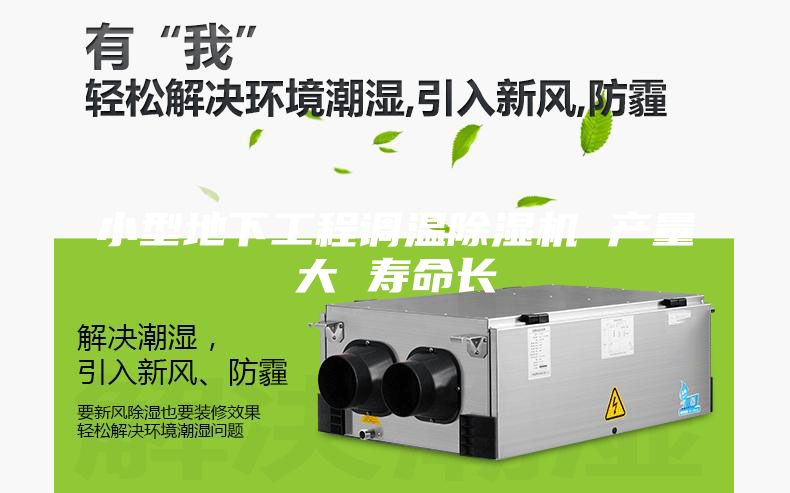 小型地下工程調(diào)溫除濕機(jī) 產(chǎn)量大 壽命長(zhǎng)