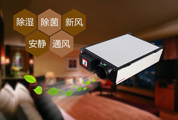 回南天如何防潮濕？選對(duì)除濕機(jī)高枕無憂