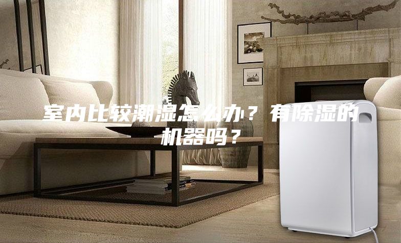 室內(nèi)比較潮濕怎么辦？有除濕的機器嗎？