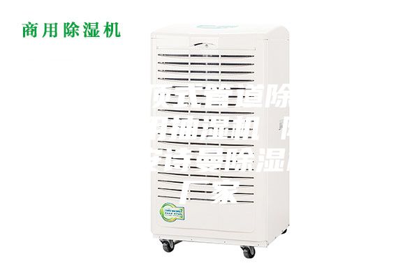 武漢吊頂式管道除濕機，游泳館用抽濕機 除濕防潮設備安詩曼除濕機生產廠家