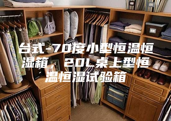 臺式-70度小型恒溫恒濕箱，20L桌上型恒溫恒濕試驗箱