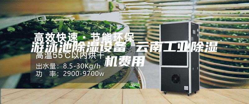 游泳池除濕設備 云南工業除濕機費用