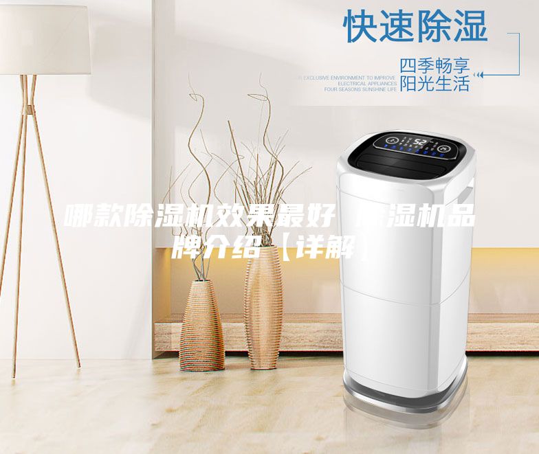 哪款除濕機(jī)效果最好 除濕機(jī)品牌介紹【詳解】