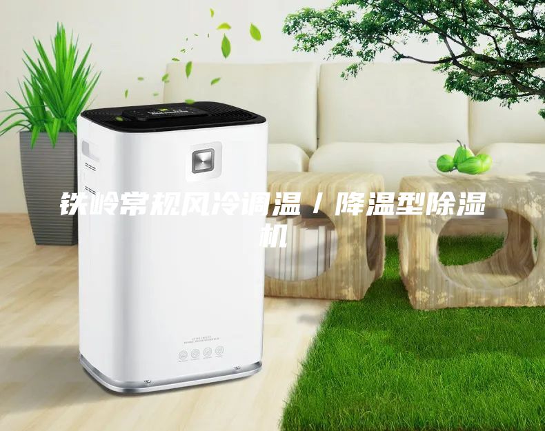 鐵嶺常規(guī)風(fēng)冷調(diào)溫／降溫型除濕機(jī)