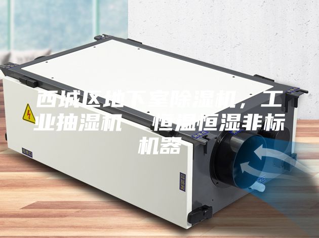 西城區(qū)地下室除濕機，工業(yè)抽濕機  恒溫恒濕非標(biāo)機器